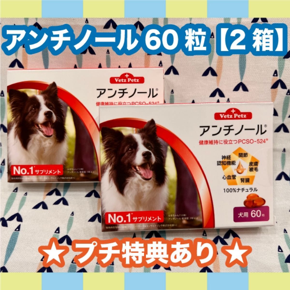 アンチノール 犬用 60粒 2箱〈おまけ付き〉 - ruizvillandiego.com