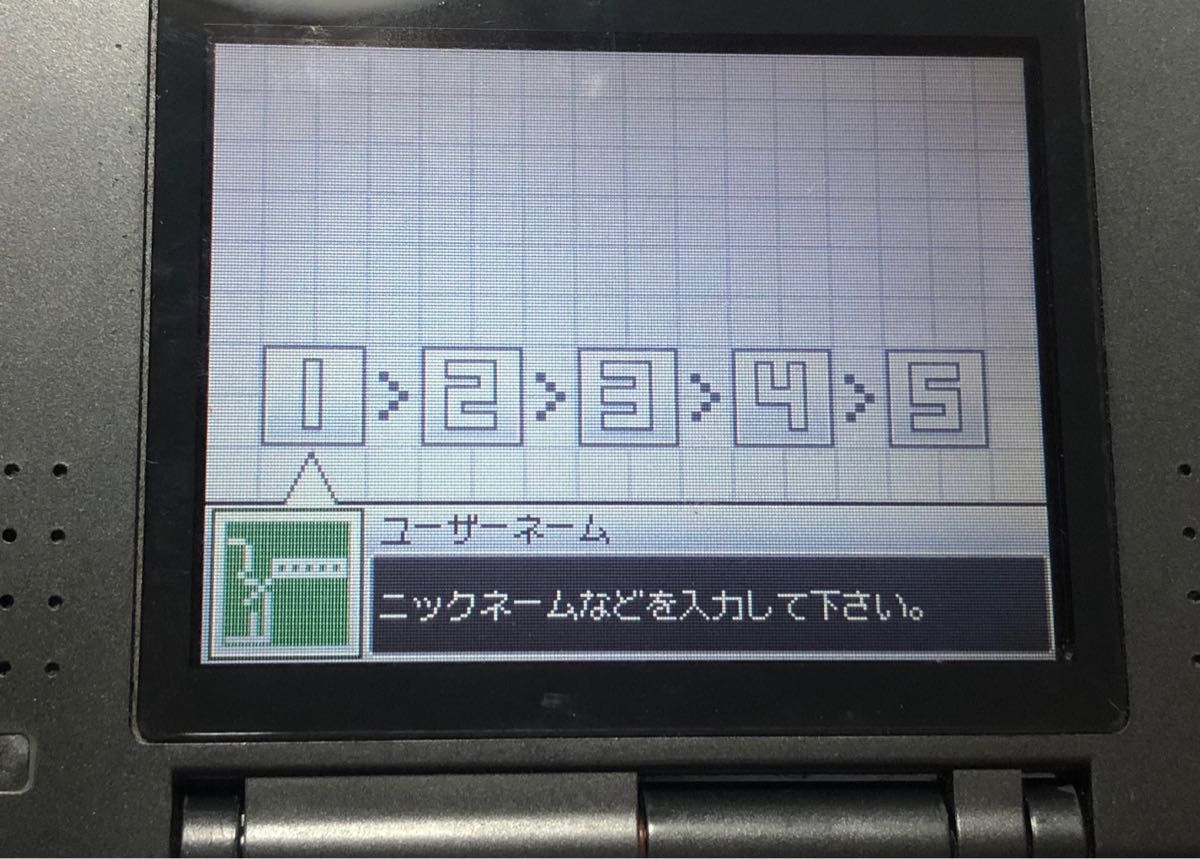 ニンテンドーDS / DS lite セット DS用の充電器 付き Nintendo ニンテンドーDS / DS lite セット DS用の充電器 付き Nintendo