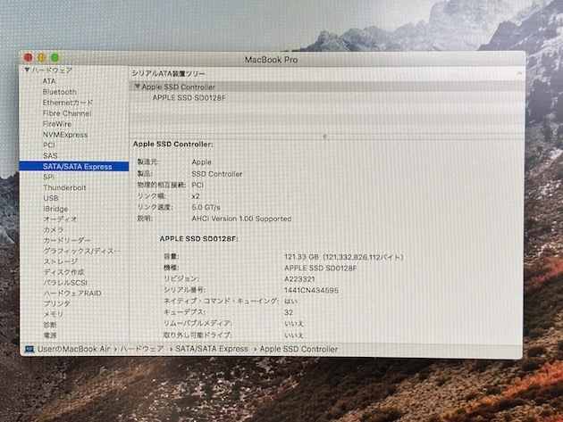 SanDisk 121.33GB 純正SSD Apple MacBook Pro A1502 Late2013~Early2015 A1398 Late2013~Mid2015対応 [HD101]_画像3