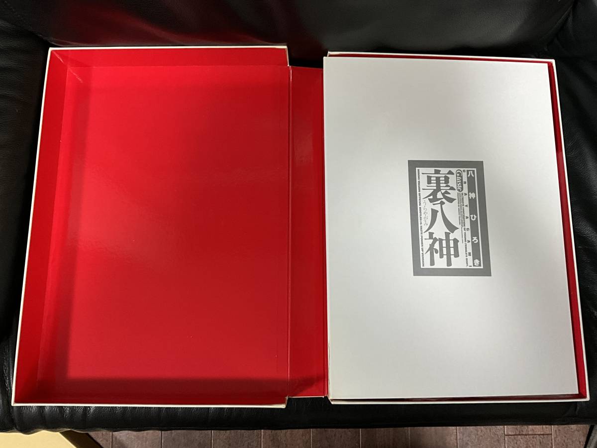 レア 裏八神 コレクターズ BOX 限定品 美少女 中古品_画像3