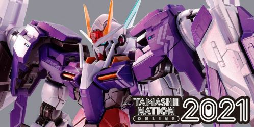 新品未開封 METAL BUILD 10th Anniversary トランザムライザー Full