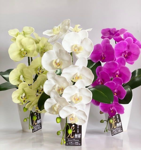  высококлассный . бабочка орхидея белый живые цветы. подобный полимер biniru производства искусственный цветок интерьер, подарок,. видеть Mai ., праздник,... тоже рекомендация 