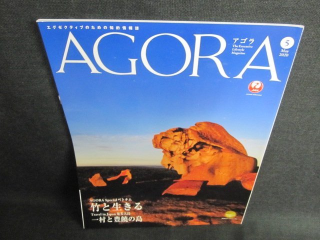 AGORA 2020.5　ベトナム/奄美大島　日焼け有/GEY_画像1