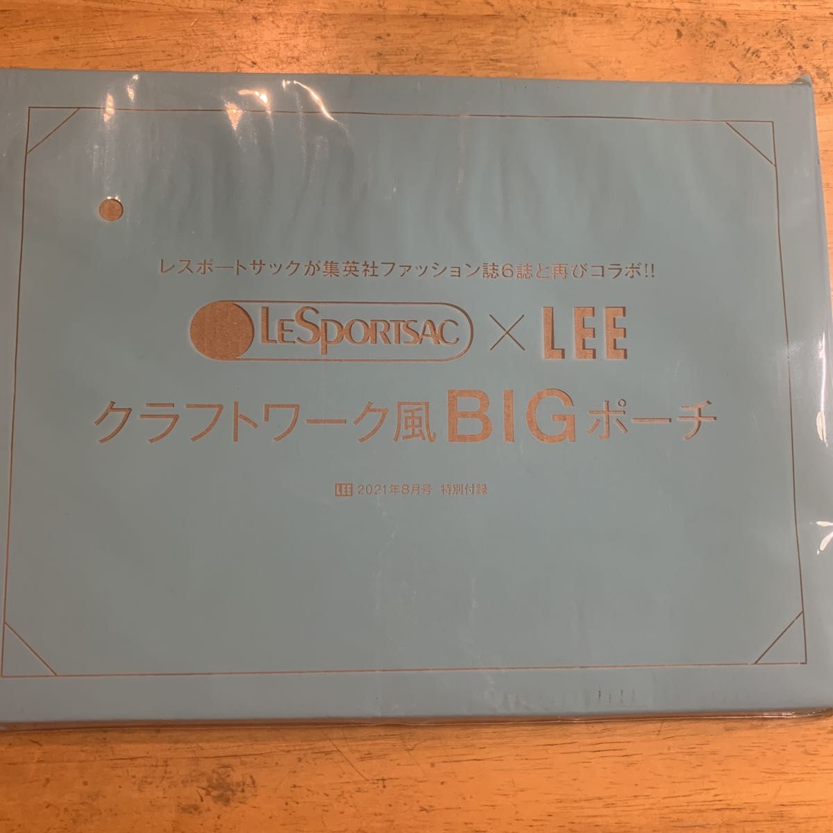 送料込み LEE 2021年8月号付録 レスポートサック クラフトワーク風 BIG