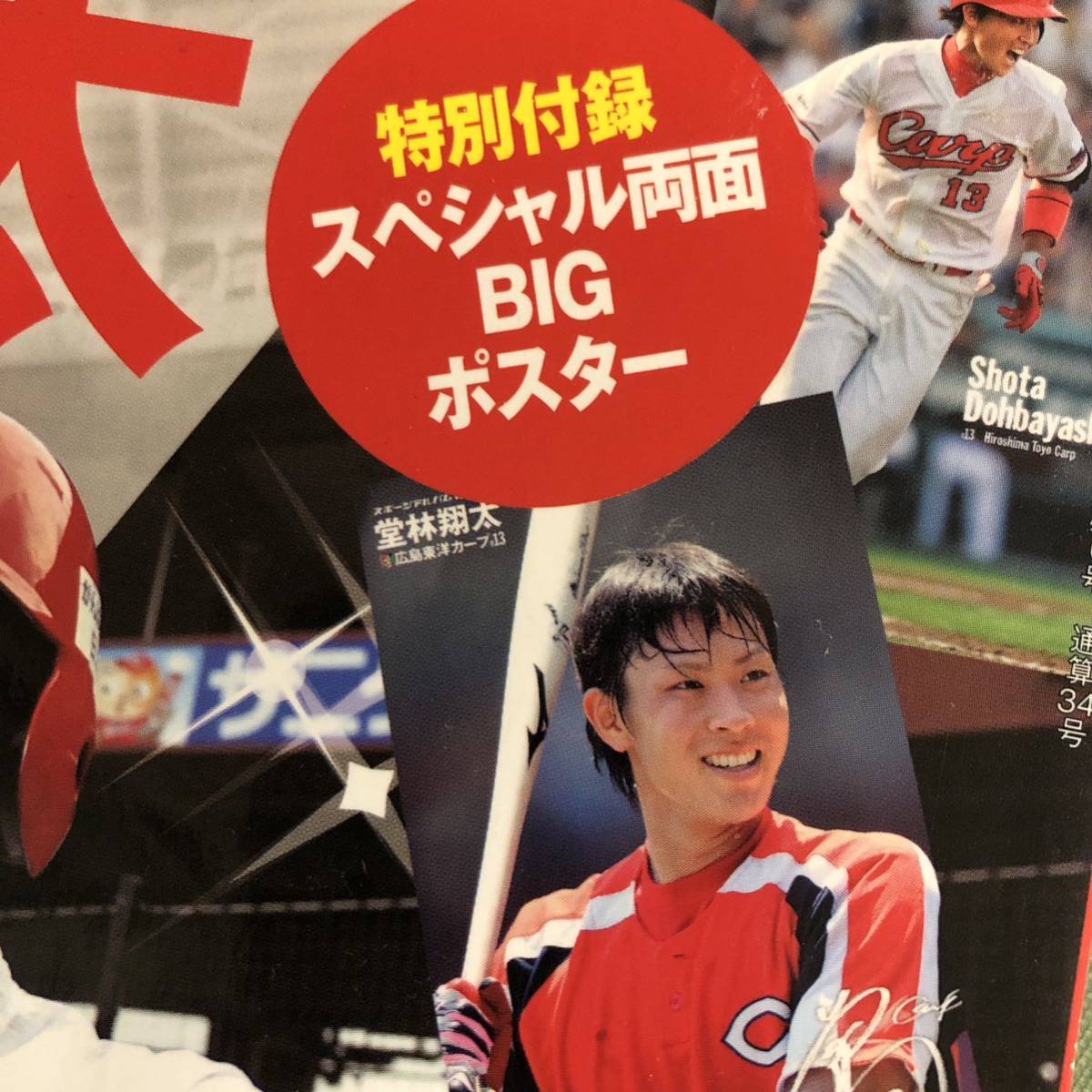 レア本 広島東洋カープ 堂林翔太 ファンが待ち望んだ鯉の レア本 広島東洋カープ 堂林翔太 ファンが待ち望んだ鯉の