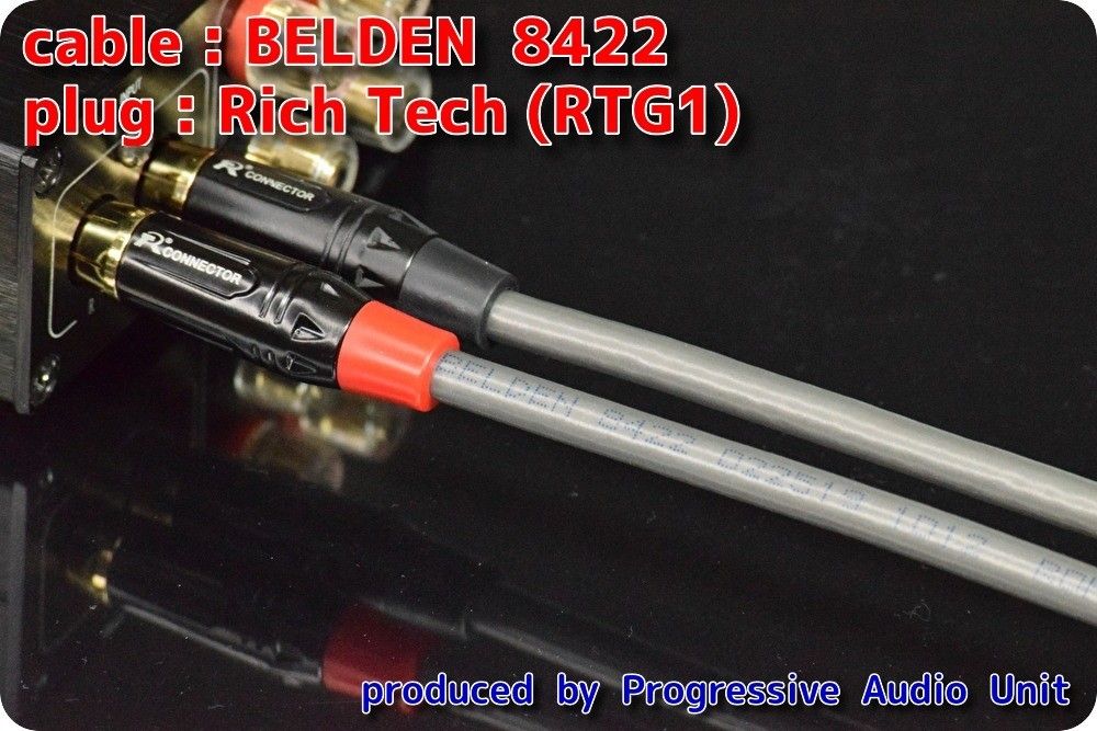 ★ BELDEN 8422 RCA (RTG1)ケーブル 70cm ×2本