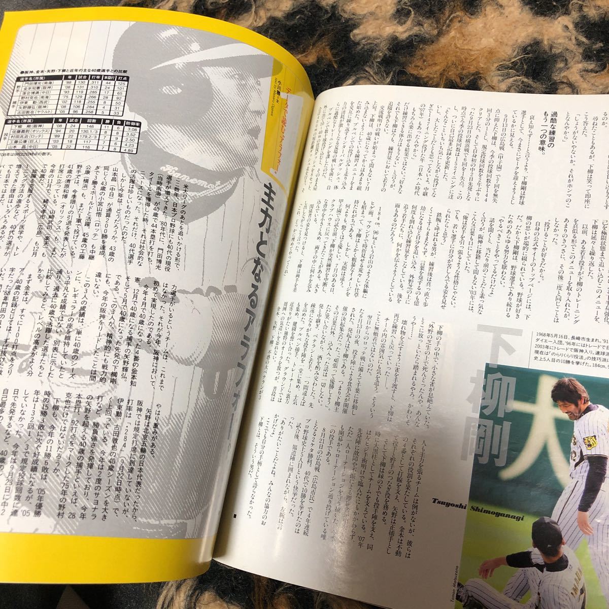 スポーツ雑誌 Sports Graphic Number 713 阪神タイガース　矢野輝弘　金本知憲　下柳剛　岩田稔　藤川球児　安藤優也　桧山進次郎_画像6