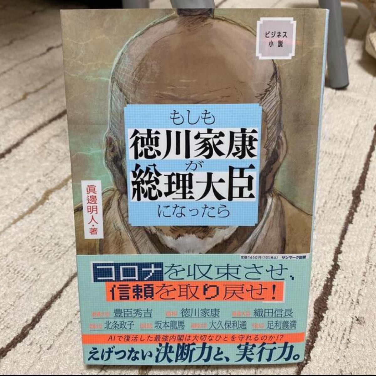 もしも徳川家康が総理大臣になったら ビジネス小説