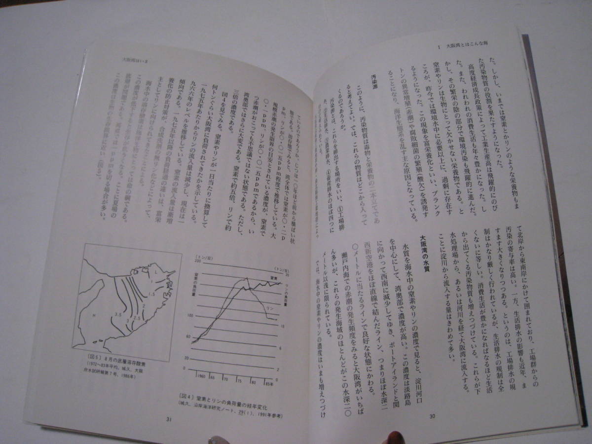 大阪湾の本　海が見えますか？大阪湾が問いかけるもの　_画像3