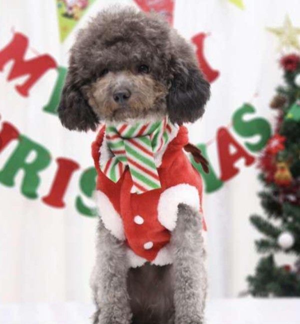 Lクリスマス 犬服 ドッグウエア コスプレ トナカイ サンタクロース パーカー マフラー付 防寒 温かい フワフワ生地 ペット服