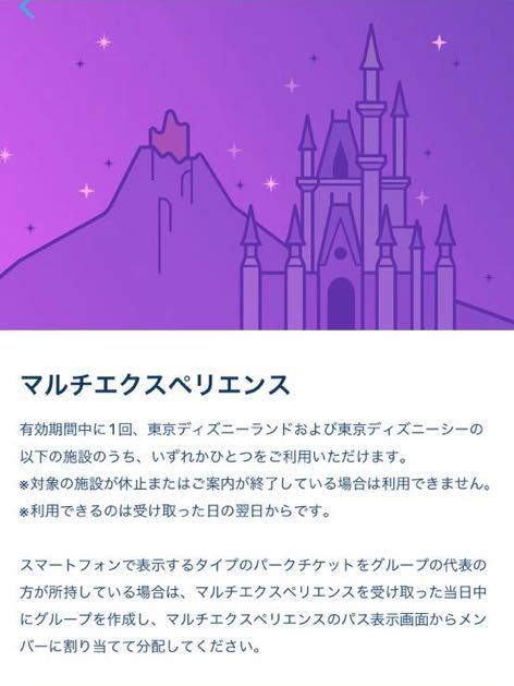 ディズニー マルチエクスペリエンス 5枚(大人2子供3 )優先入場 整理