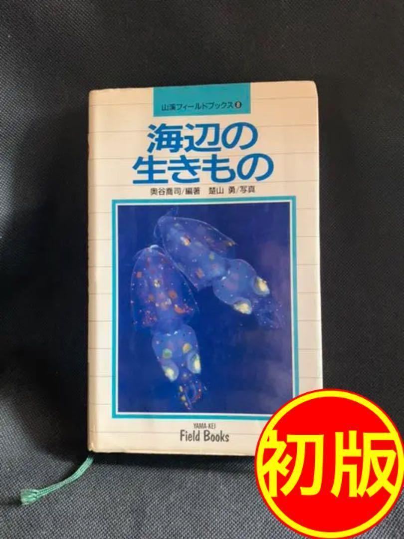 【初版】山溪フィールドブックス⑧ 海辺の生きもの