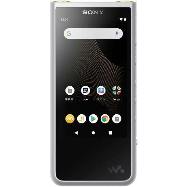 ◆新品 SONY ソニー Walkman(ウォークマン) ZXシリーズ NW-ZX507 SM [ハイレゾ音源対応/android搭載/64GB/シルバー] 1点限り_画像1