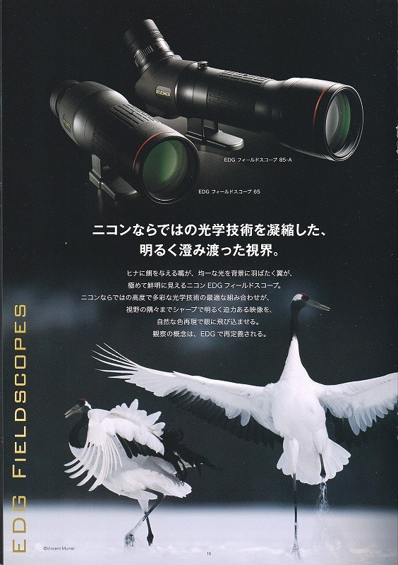 Nikon Nikon EDG field scope binoculars EDGE catalog 2011.10( new goods )