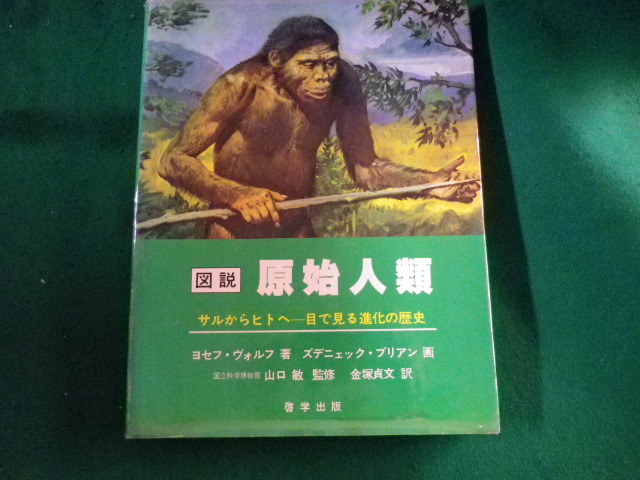 豪華 □図説 原始人類 サルからヒトへ 目で見る進化の歴史