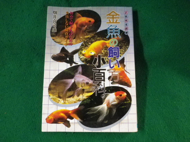 ■金魚の飼い方小百科　畑井喜司雄　日本文芸社■FASD2022122724■_画像1