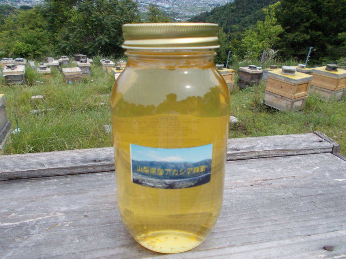 山梨県産　アカシア蜂蜜　1200g（ビン）　1本入り　2022 年5月採り_画像1