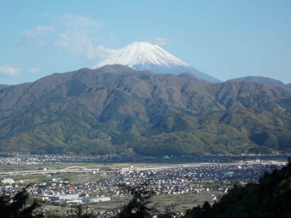 山梨県産　アカシア蜂蜜　1200g（ビン）　1本入り　2022 年5月採り_画像5