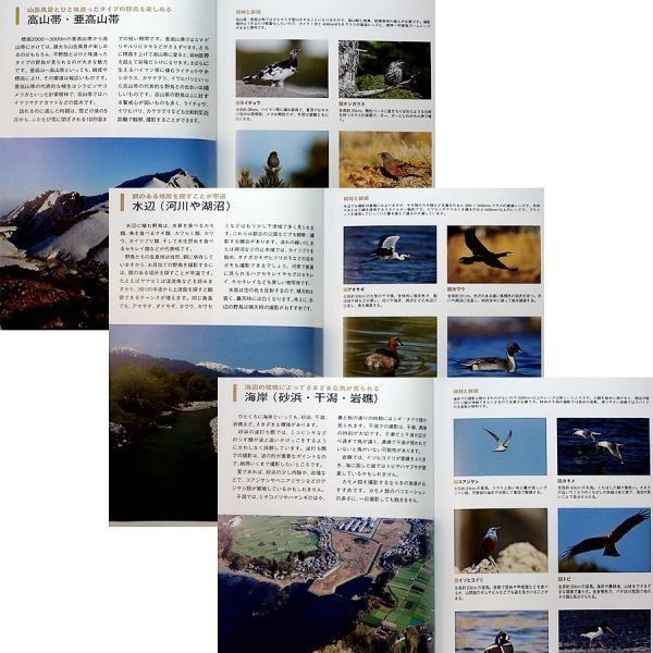 デジタルカメラによる野鳥撮影テクニック｜撮影機材 カメラ レンズ 生態写真 シーン別 種類別 季節別 デジカメ カメラ レンズR_画像6