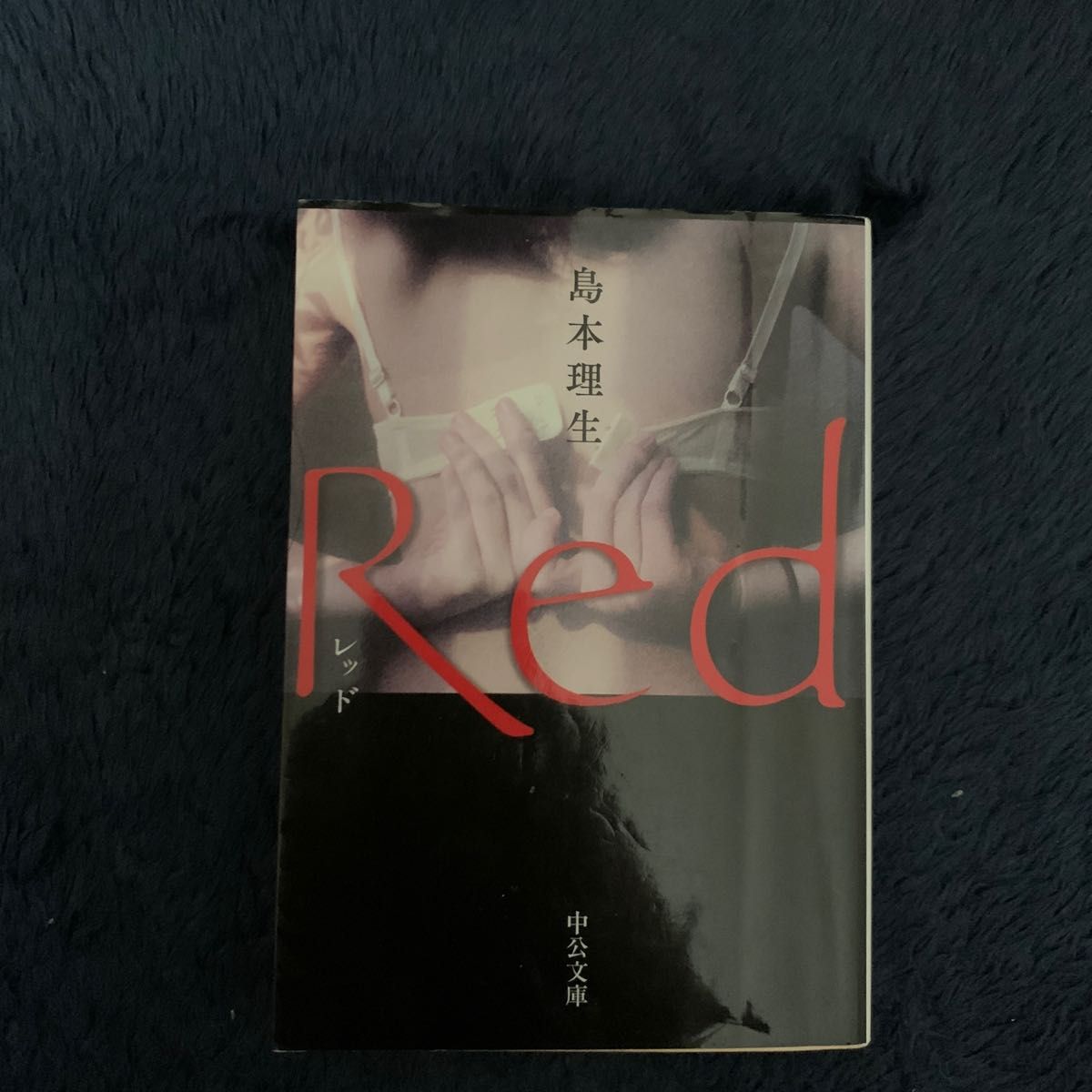 Ｒｅｄ （中公文庫　し４６－３） 島本理生／著