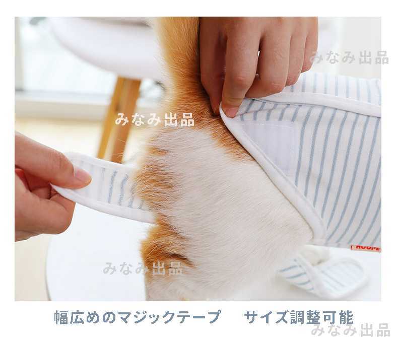 猫 犬 術後服 術後ウェア 離乳 避妊手術 皮膚保護 傷口 エリザべスカラー M　ボーダー　水色