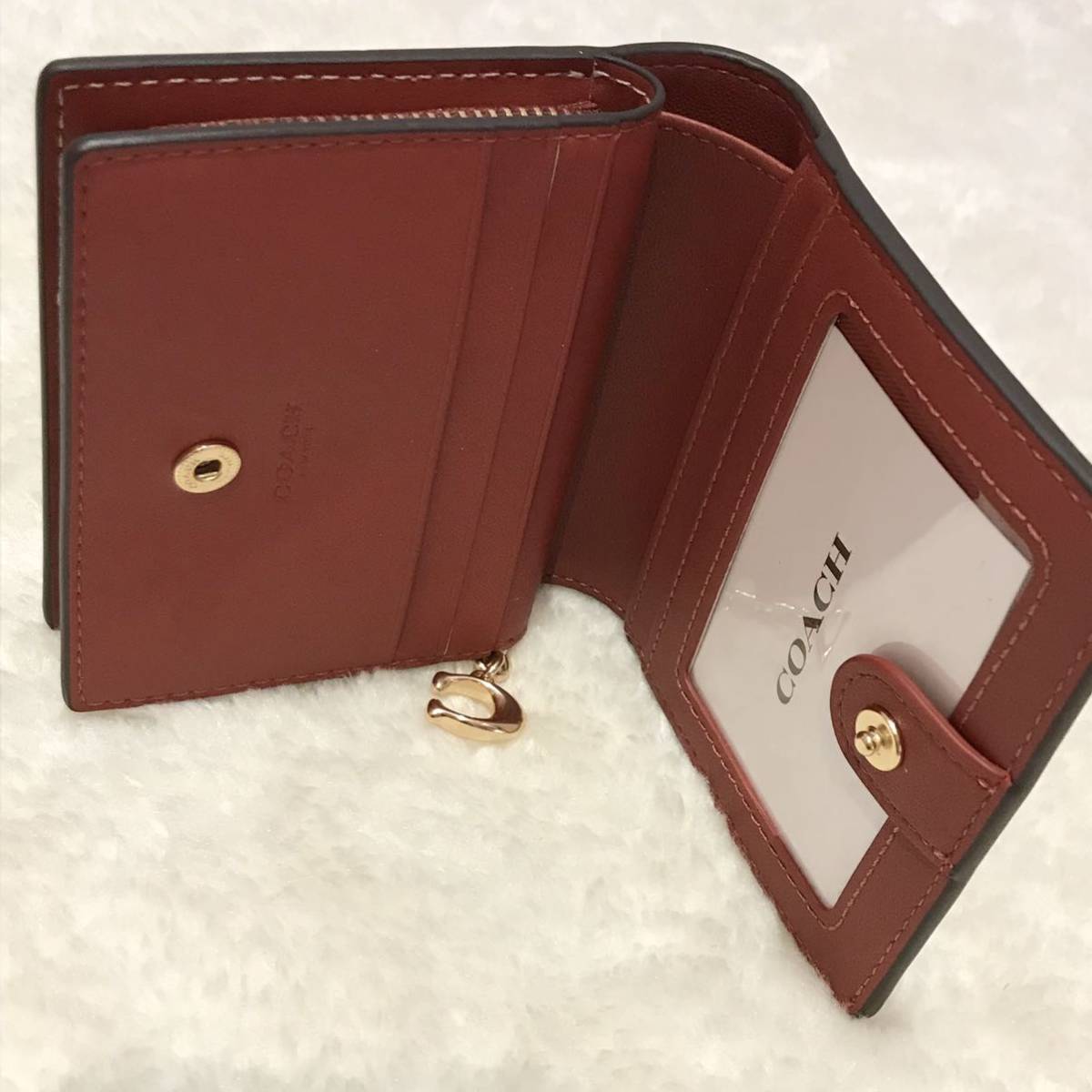 新品未使用 COACH コーチ 猫柄 折り財布 ダンシング 子猫 新品未使用 COACH コーチ 猫柄 折り財布 ダンシング 子猫