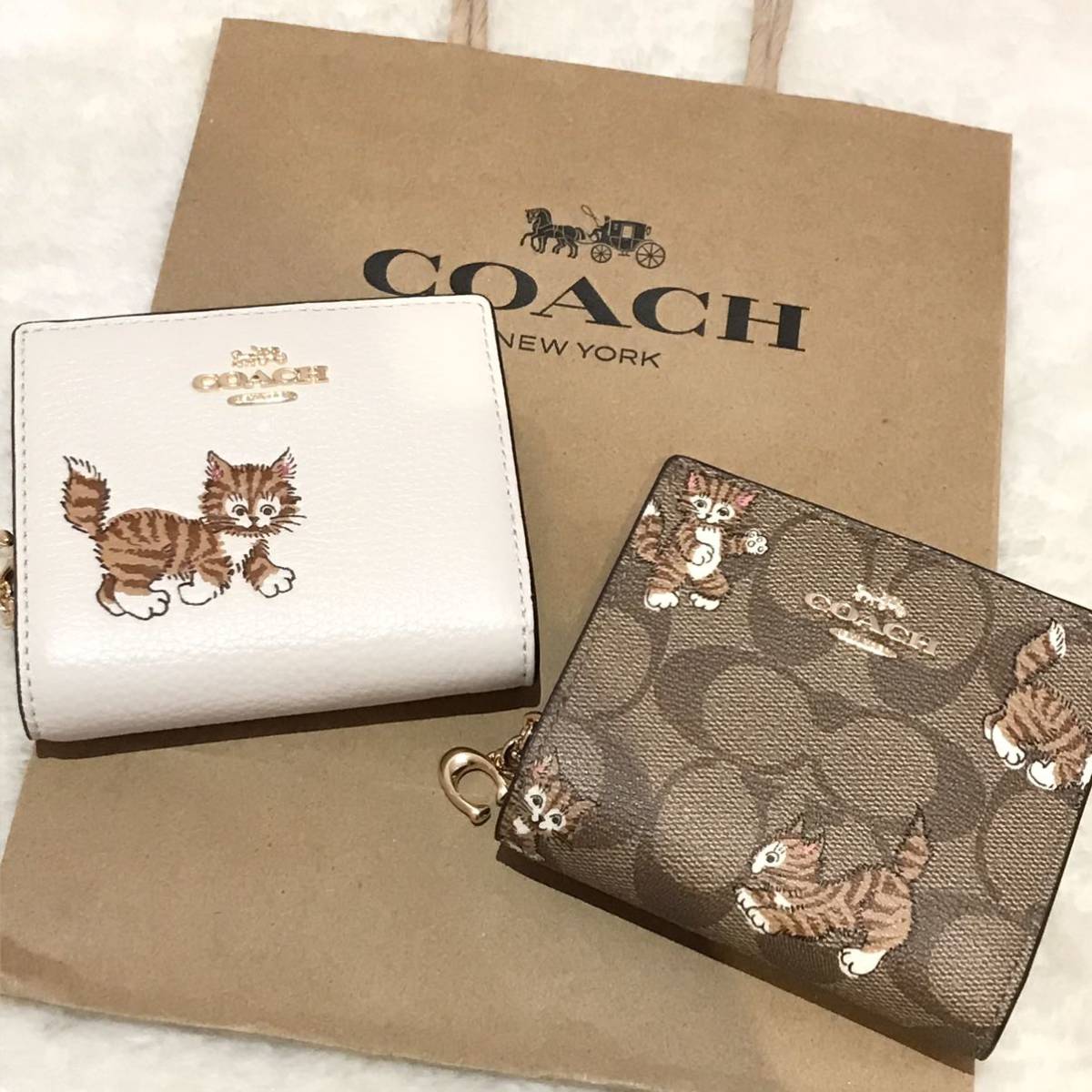 新品未使用☆COACH コーチ 猫柄 折り財布 ダンシング 子猫 プリント二つ折り財布 キャット シグネチャー 紙袋付き