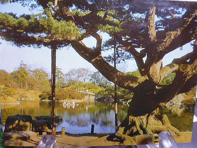 【昭和時代の絵葉書】栗林公園　RITSURIN PARK ８枚　紙ケース入り_画像5