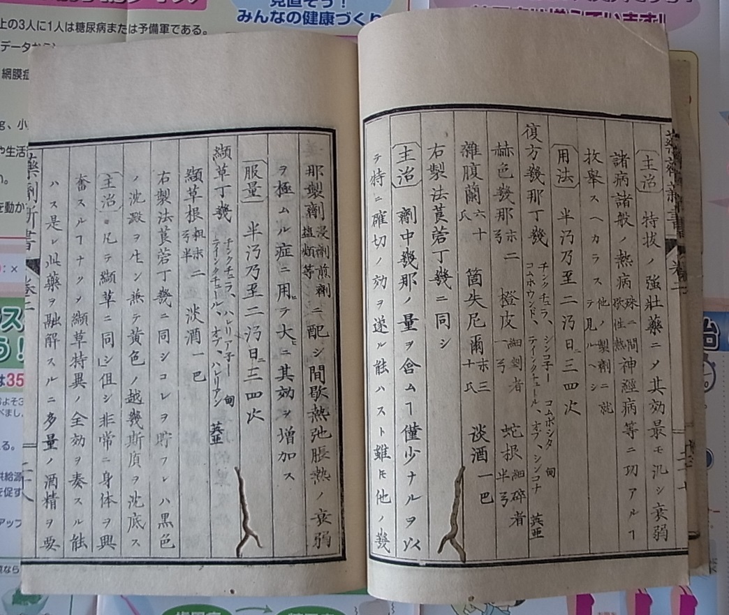 和本 薬剤新書 2冊揃 明治6年刊 森鼻宗次 譯述 医学書　検索 西洋医学 近代医学 薬剤処方 明治医学 