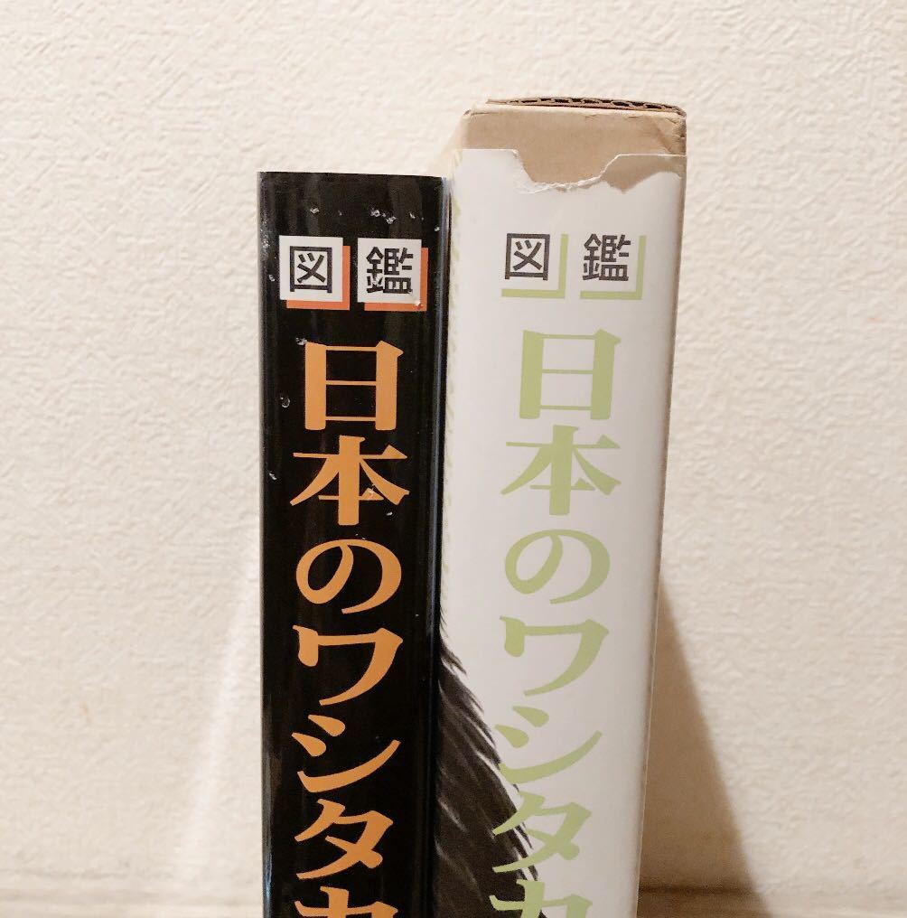 図鑑日本のワシタカ類 森岡 照明 鷲鷹 文一総合出版_画像6