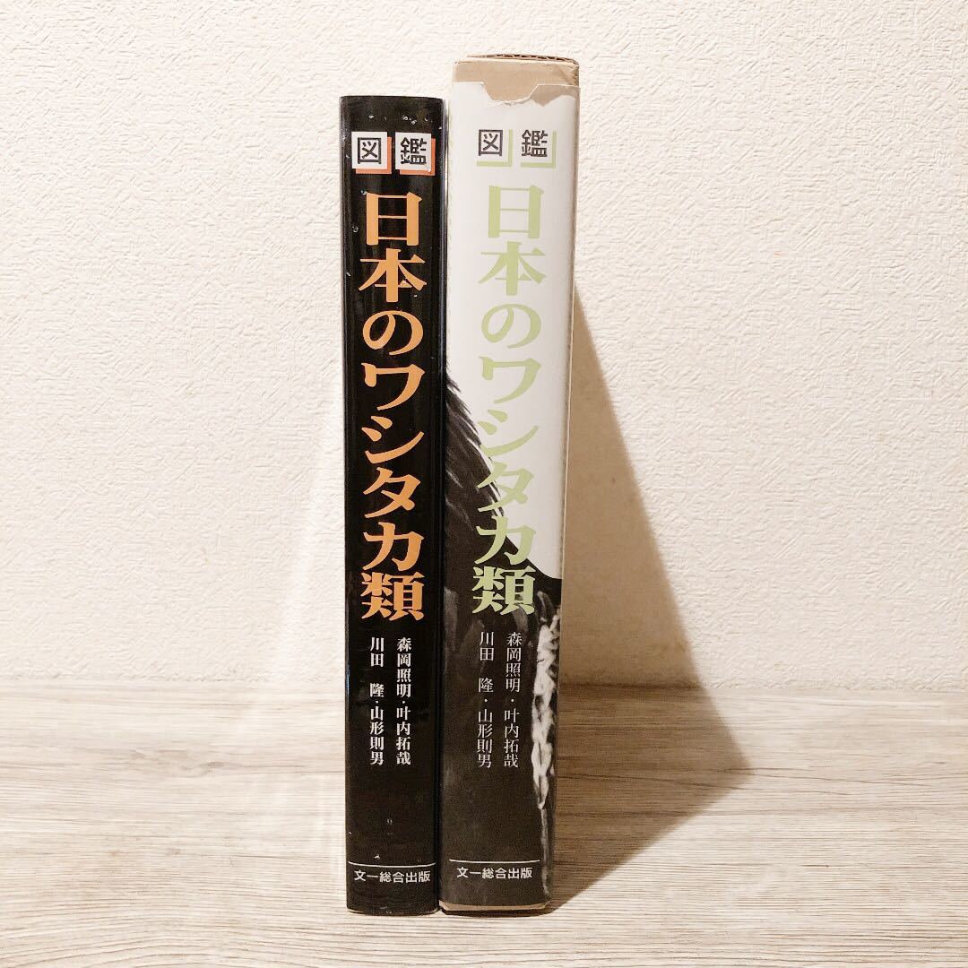 図鑑日本のワシタカ類 森岡 照明 鷲鷹 文一総合出版_画像4