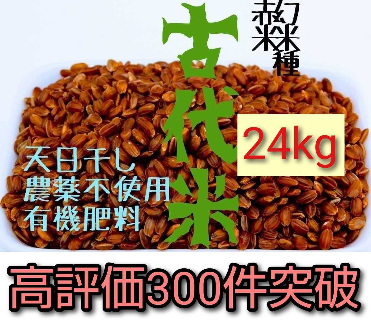 ココ様専用 ササニシキ 玄米20キロ農薬肥料不使用・天日乾燥 - 米