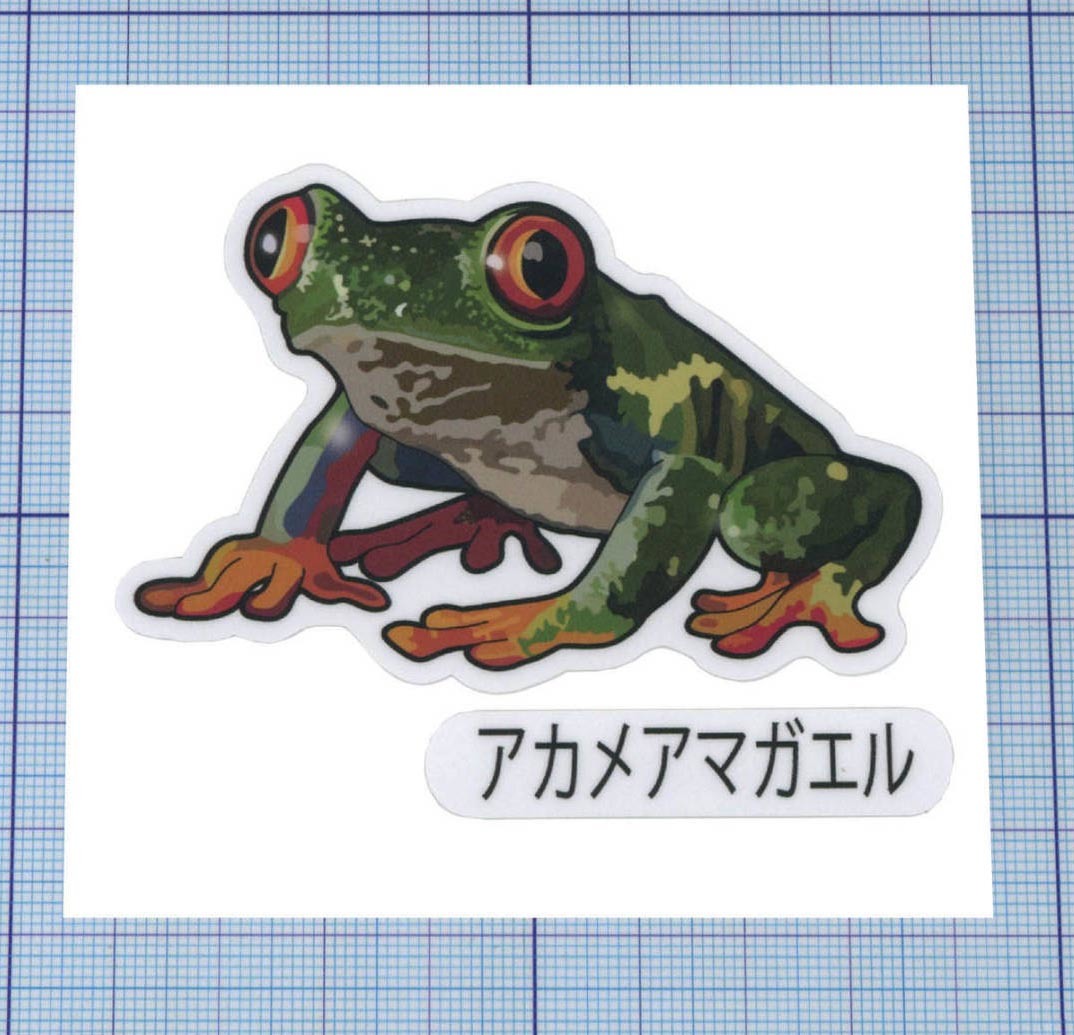 ★★ 両生類 ★★ アカメアマガエル・ステッカー 　左右約8cm×天地約5.2cm_画像1