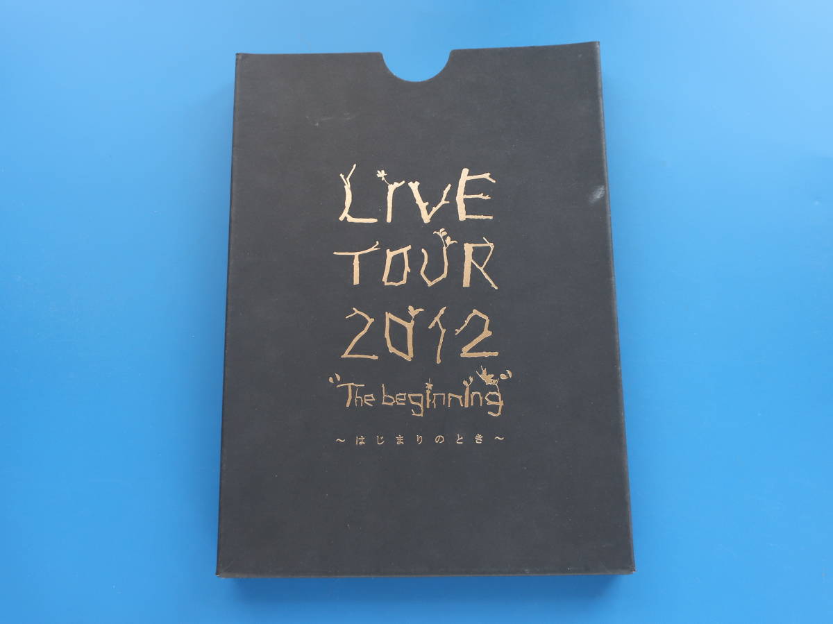 絢香 LIVE TOUR 2012 The beginning はじまりのとき 2012年コンサートライブツアーパンフレット/ビギニング/写真集グラビア希少グッズ。。_画像3