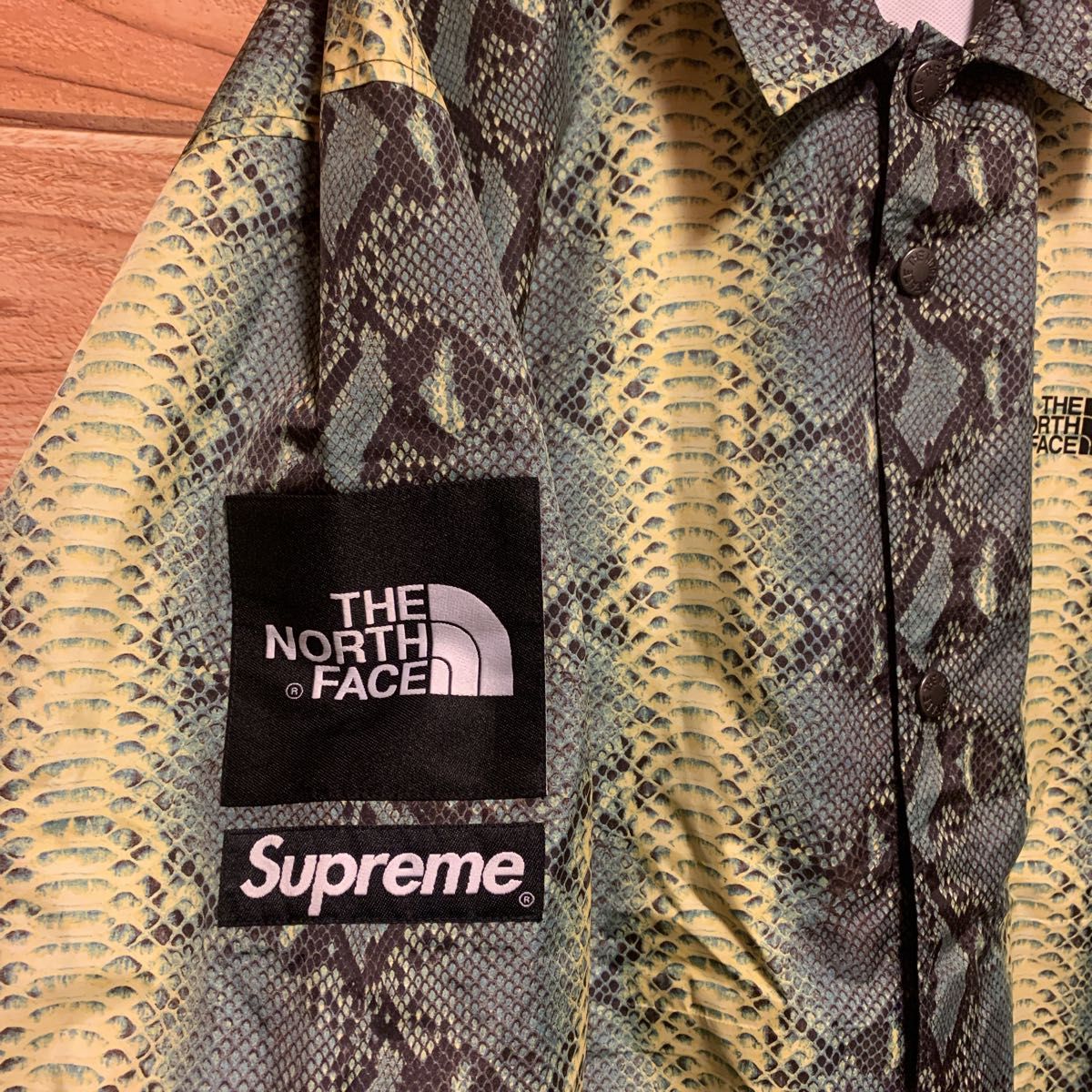 Supreme THE NORTH FACE ノースフェイス パイソン柄 コーチ Supreme THE NORTH FACE ノースフェイス パイソン柄 コーチ
