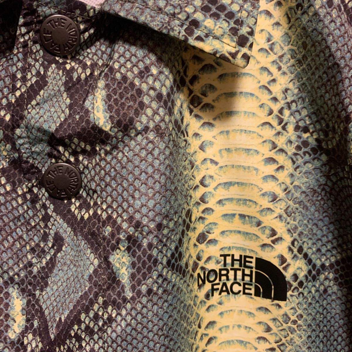 Supreme THE NORTH FACE ノースフェイス パイソン柄 コーチ Supreme THE NORTH FACE ノースフェイス パイソン柄 コーチ
