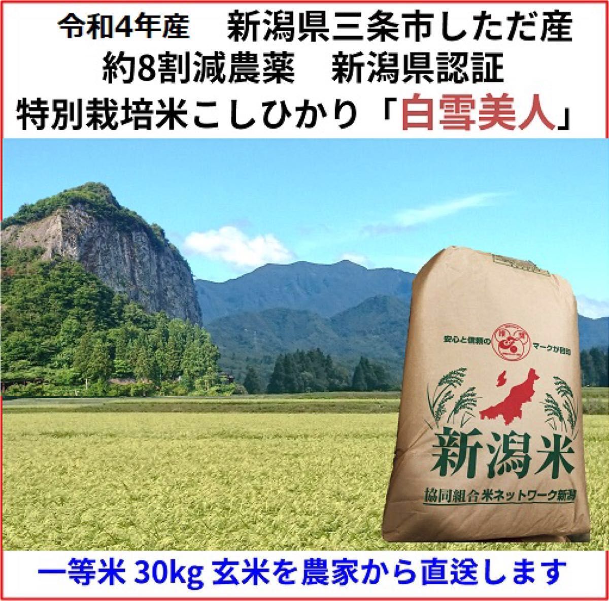 新米令和4年産 コシヒカリ玄米30kg 新潟県三条市旧しただ村産 減農薬