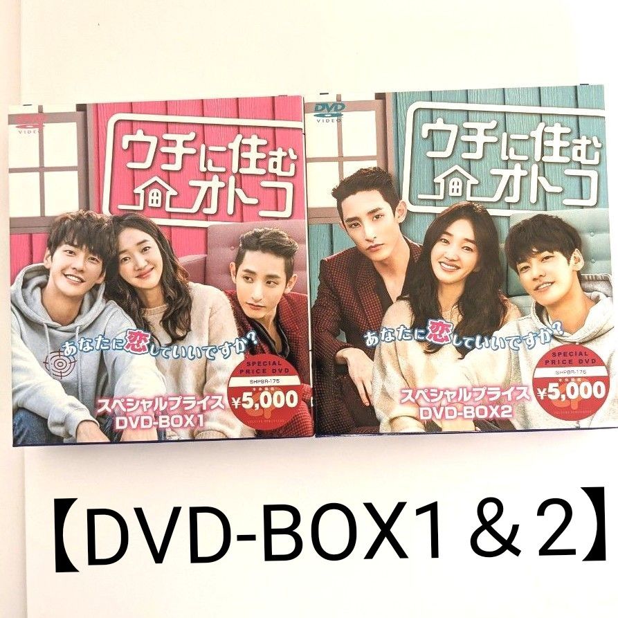 ウチに住むオトコ DVD-BOX1/BOX2〈各6枚組〉2点セット価格 スエキム 