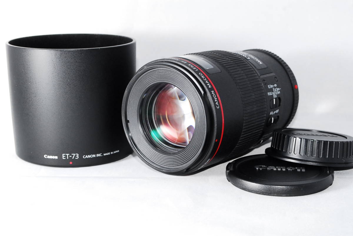 キヤノン EF100mm F2.8L Macro IS USM 美品\u0026日本製 | labiela.com