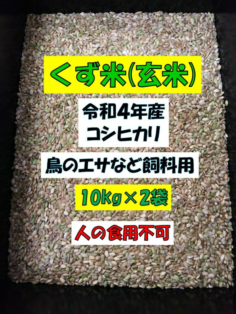 くず米 くず玄米 20kg 鳥のエサ 青米 飼料用米 R4年産コシヒカリ100%