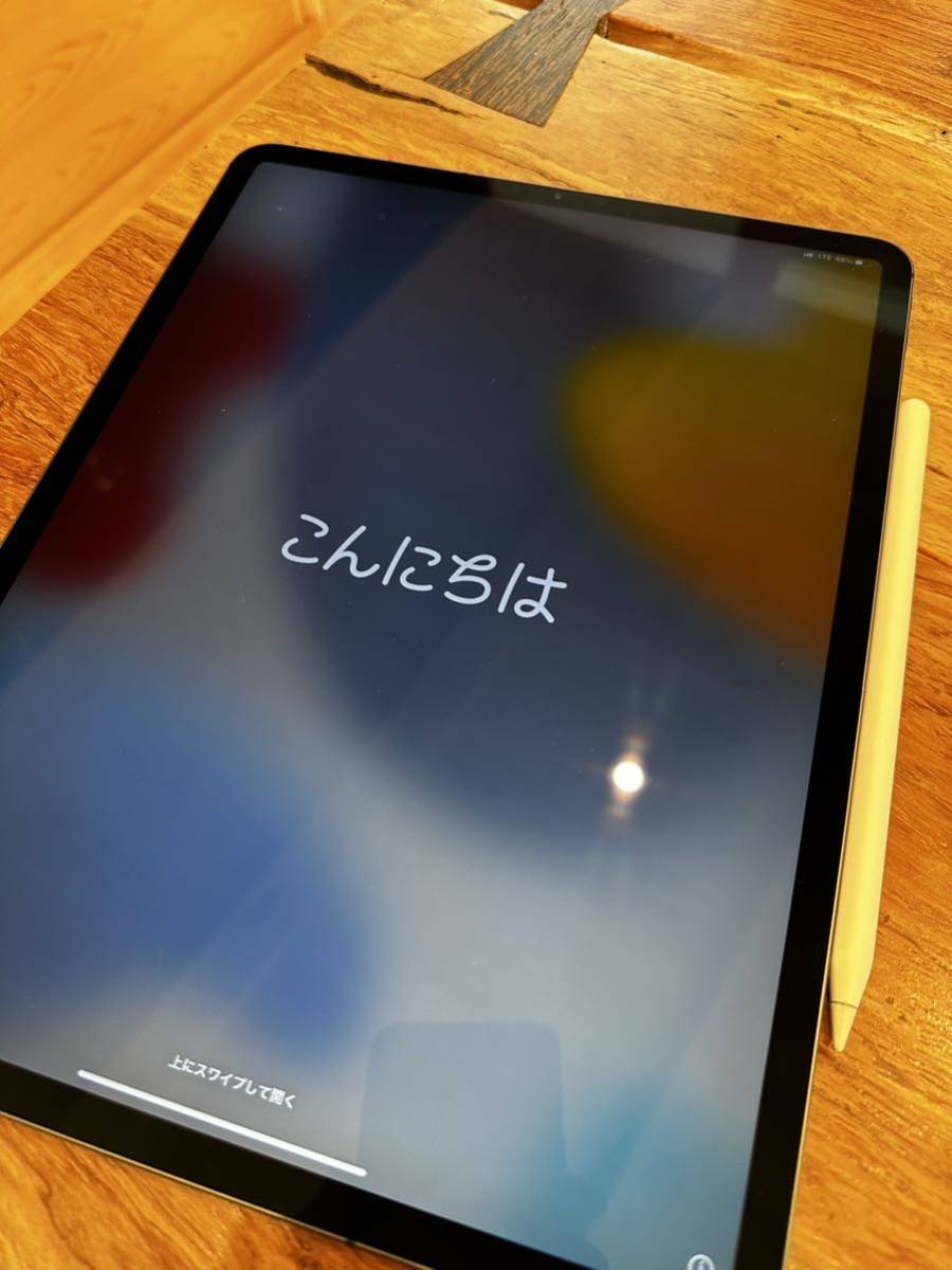 iPad Pro 12.9インチ 第3世代 256GB Wi-Fi + Cellularモデル スペース