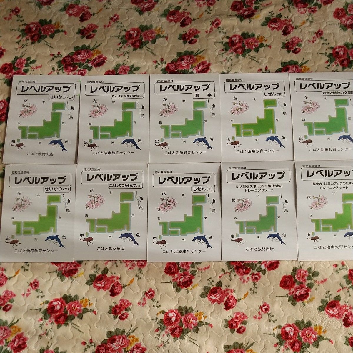 こばと教材出版 認知発達教材 レベルアップ10冊セット 1