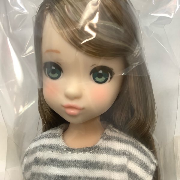 【限定販売】 ruruko Fresh PetWORKs 20AZ モモコ 1/6 22cmドール momoko るるこ ペットワークス 2nd momoko