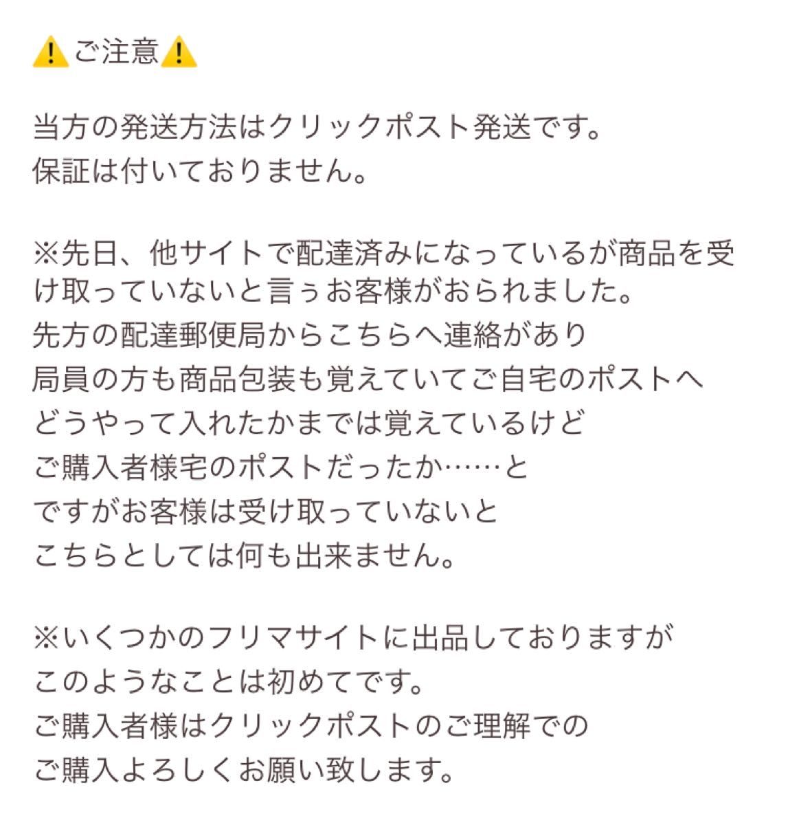 ニカラグア SHG 自家焙煎 珈琲豆 100g×3
