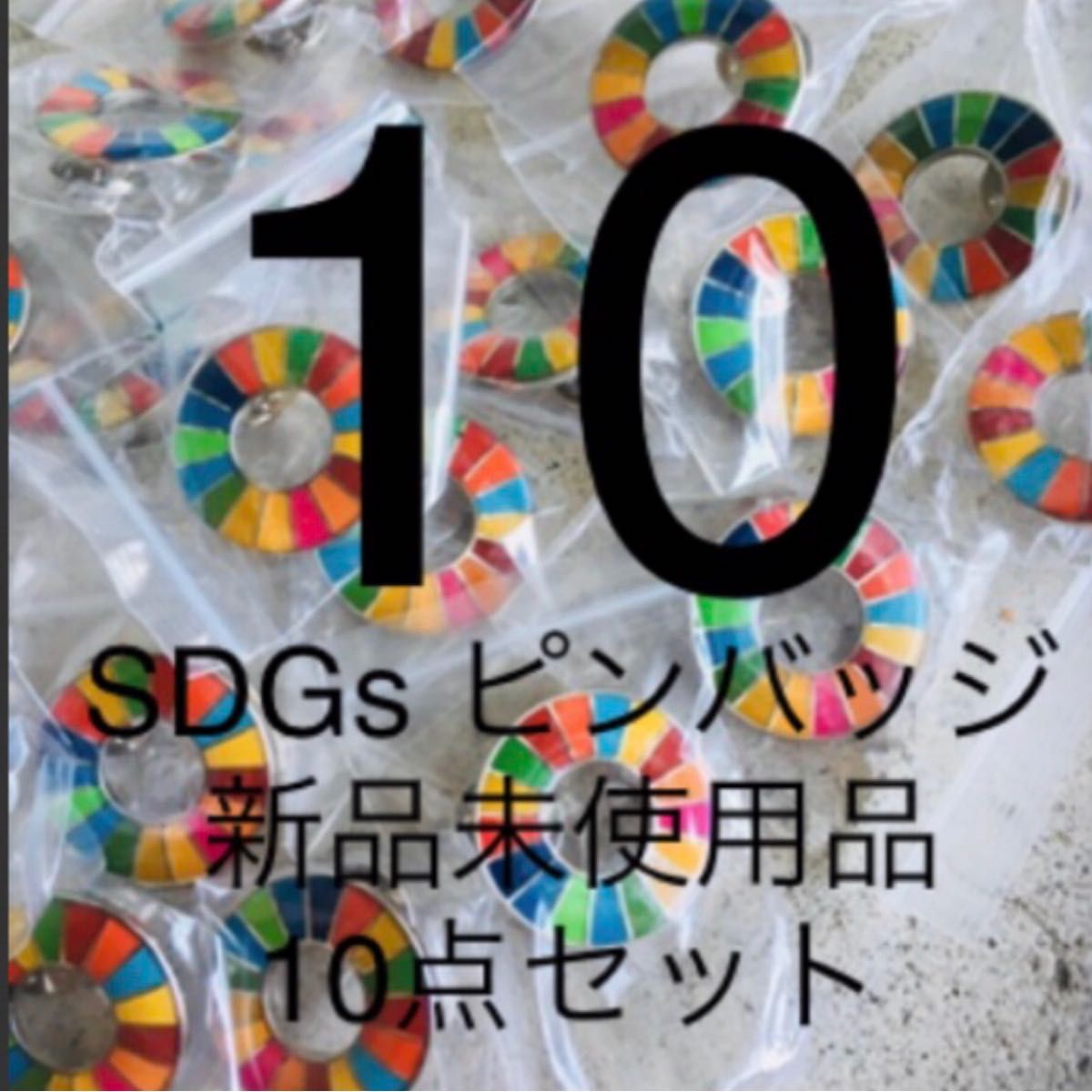 SDGs ピンバッジ　10点セット　新品未使用
