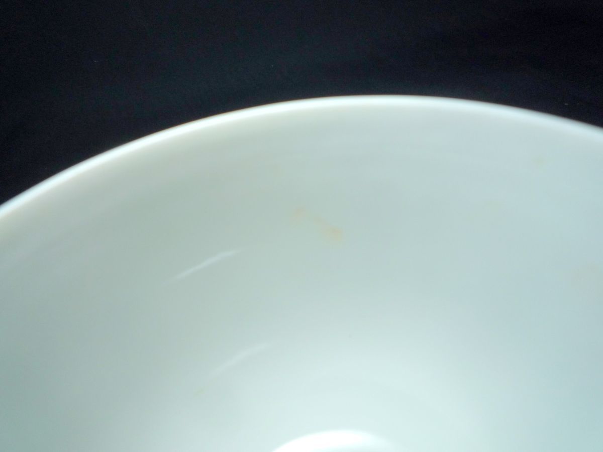 逸品】 リチャードジノリ8点➕1点 食器 - www.deifypharma.com