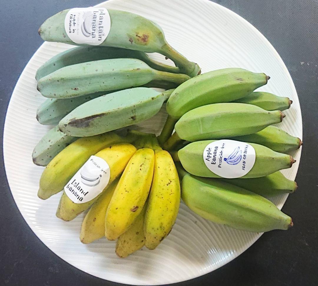 初セット！沖縄本島産「フルーツグァバ」と「島バナナ」 セット！
