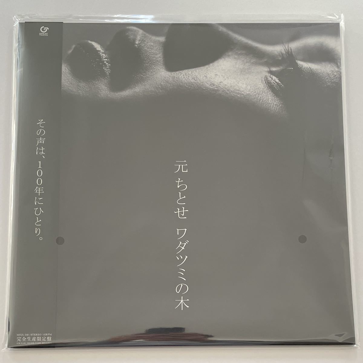 元ちとせ『ワダツミの木』アナログ盤／完全生産限定 通販