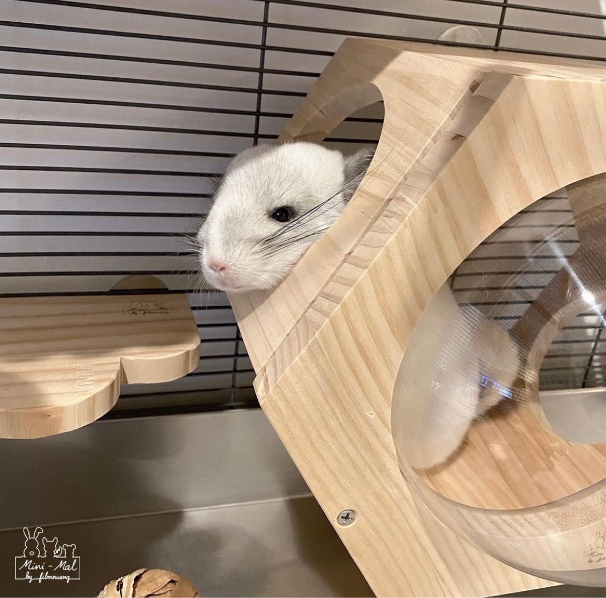 ラスト2点 宇宙船型木製ハウス 小動物 チンチラ デグー リス ラスト2点 宇宙船型木製ハウス 小動物 チンチラ デグー リス