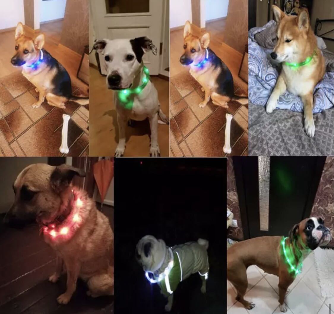 首輪 光る LEDライト 夜用 安全 USB 充電 大型犬 蛍光 S 犬 ブルー_画像2